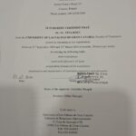 Praktyki tłumaczeniowe podczas studiów Tina Koci